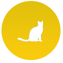 廈門免費(fèi)發(fā)布信息網(wǎng)-廈門寵物市場信息網(wǎng)